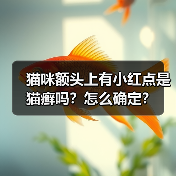 猫咪额头上有小红点是猫癣吗?怎么确定?(图1) 猫咪额头上有小红点是猫癣吗?怎么确定?(图1)
