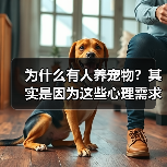 为什么有人养宠物?其实是因为这些心理需求(图3) 为什么有人养宠物?其实是因为这些心理需求(图3)