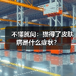不懂就问：猫得了皮肤病是什么症状？
