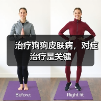 治疗狗狗皮肤病,对症治疗是关键(图2) 治疗狗狗皮肤病,对症治疗是关键(图2)