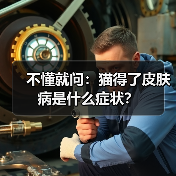 不懂就问:猫得了皮肤病是什么症状?(图2) 不懂就问:猫得了皮肤病是什么症状?(图2)