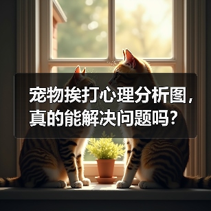 宠物挨打心理分析图，真的能解决问题吗？