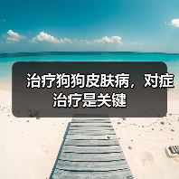 治疗狗狗皮肤病，对症治疗是关键