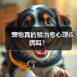 宠物真的能治愈心理疾病吗?(图2) 宠物真的能治愈心理疾病吗?(图2)