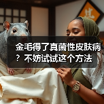 金毛得了真菌性皮肤病?不妨试试这个方法(图2) 金毛得了真菌性皮肤病?不妨试试这个方法(图2)