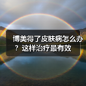 博美得了皮肤病怎么办？这样治疗最有效（图4）