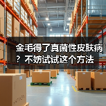 金毛得了真菌性皮肤病？不妨试试这个方法