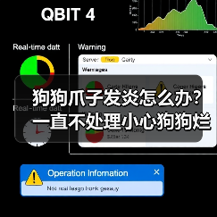 狗狗爪子发炎怎么办?一直不处理小心狗狗烂爪(图2) 狗狗爪子发炎怎么办?一直不处理小心狗狗烂爪(图2)