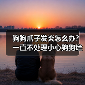 狗狗爪子发炎怎么办?一直不处理小心狗狗烂爪(图3) 狗狗爪子发炎怎么办?一直不处理小心狗狗烂爪(图3)