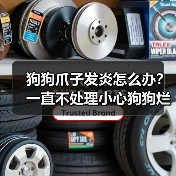 狗狗爪子发炎怎么办？一直不处理小心狗狗烂爪