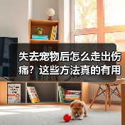 失去宠物后怎么走出伤痛?这些方法真的有用(图1) 失去宠物后怎么走出伤痛?这些方法真的有用(图1)