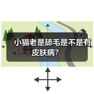 小猫老是舔毛是不是有皮肤病？（图2）