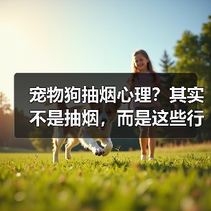 宠物狗抽烟心理?其实不是抽烟,而是这些行为在“模仿”!(图2) 宠物狗抽烟心理?其实不是抽烟,而是这些行为在“模仿”!(图2)
