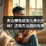 失去宠物后怎么走出伤痛?这些方法真的有用(图2) 失去宠物后怎么走出伤痛?这些方法真的有用(图2)