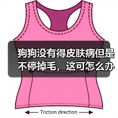 狗狗没有得皮肤病但是不停掉毛，这可怎么办？（图2）