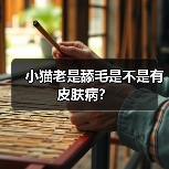 小猫老是舔毛是不是有皮肤病？（图3）