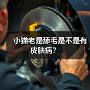 小猫老是舔毛是不是有皮肤病？（图4）