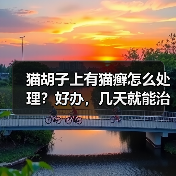 猫胡子上有猫癣怎么处理？好办，几天就能治好！