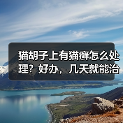 猫胡子上有猫癣怎么处理?好办,几天就能治好!(图3) 猫胡子上有猫癣怎么处理?好办,几天就能治好!(图3)