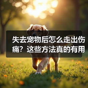 失去宠物后怎么走出伤痛?这些方法真的有用(图3) 失去宠物后怎么走出伤痛?这些方法真的有用(图3)