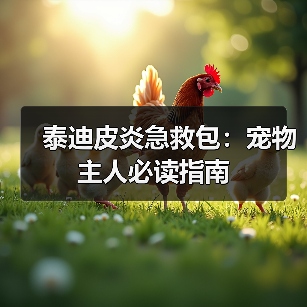 泰迪皮炎急救包：宠物主人必读指南（图2）