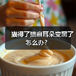 猫得了猫癣耳朵变黑了怎么办？（图3）