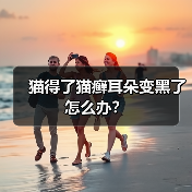 猫得了猫癣耳朵变黑了怎么办？（图4）