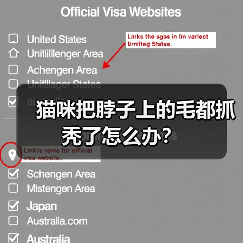 猫咪把脖子上的毛都抓秃了怎么办？（图3）