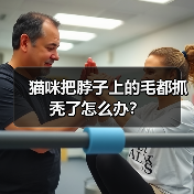 猫咪把脖子上的毛都抓秃了怎么办？（图2）