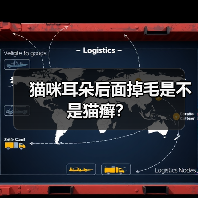 猫咪耳朵后面掉毛是不是猫癣？