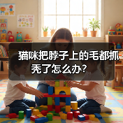 猫咪把脖子上的毛都抓秃了怎么办？（图4）