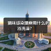 猫咪感染猫癣用什么药浴洗澡？