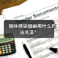 猫咪感染猫癣用什么药浴洗澡？（图4）
