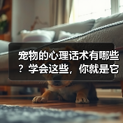 宠物的心理话术有哪些?学会这些,你就是它们的“心灵导师”(图4) 宠物的心理话术有哪些?学会这些,你就是它们的“心灵导师”(图4)