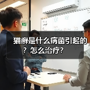 猫癣是什么病菌引起的？怎么治疗？（图1）