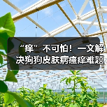 “痒”不可怕!一文解决狗狗皮肤病瘙痒难题(图1) “痒”不可怕!一文解决狗狗皮肤病瘙痒难题(图1)
