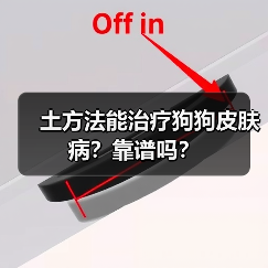 土方法能治疗狗狗皮肤病？靠谱吗？（图3）