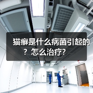 猫癣是什么病菌引起的？怎么治疗？（图4）