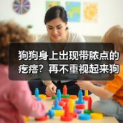 狗狗身上出现带脓点的疙瘩?再不重视起来狗狗可能会烂肉(图3) 狗狗身上出现带脓点的疙瘩?再不重视起来狗狗可能会烂肉(图3)
