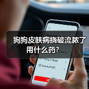 狗狗皮肤病挠破流脓了用什么药？