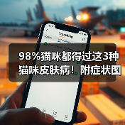 98%猫咪都得过这3种猫咪皮肤病!附症状图(图4) 98%猫咪都得过这3种猫咪皮肤病!附症状图(图4)