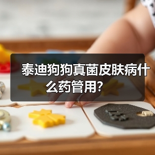 泰迪狗狗真菌皮肤病什么药管用？