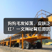 狗狗毛发掉落,皮肤泛红?一文揭秘背后原因(图1) 狗狗毛发掉落,皮肤泛红?一文揭秘背后原因(图1)