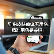 狗狗皮肤瘙痒不用慌,精准用药是关键(图2) 狗狗皮肤瘙痒不用慌,精准用药是关键(图2)
