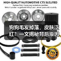 狗狗毛发掉落，皮肤泛红？一文揭秘背后原因