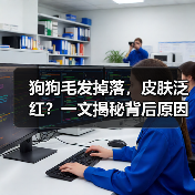 狗狗毛发掉落,皮肤泛红?一文揭秘背后原因(图3) 狗狗毛发掉落,皮肤泛红?一文揭秘背后原因(图3)