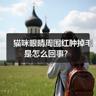 猫咪眼睛周围红肿掉毛是怎么回事?(图2) 猫咪眼睛周围红肿掉毛是怎么回事?(图2)