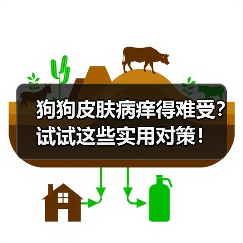狗狗皮肤病痒得难受?试试这些实用对策!(图1) 狗狗皮肤病痒得难受?试试这些实用对策!(图1)