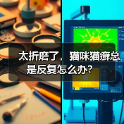 太折磨了，猫咪猫癣总是反复怎么办？