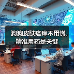 狗狗皮肤瘙痒不用慌,精准用药是关键(图3) 狗狗皮肤瘙痒不用慌,精准用药是关键(图3)